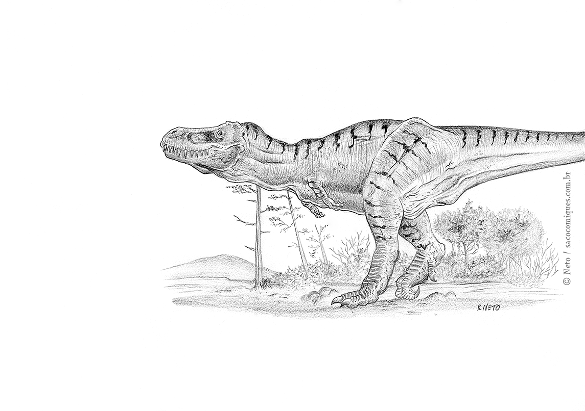 Dia 30 - Spinosaurus  Coisas para desenhar, Espinossauro, Tiranossauro rex